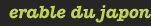 erableduvaldejargeau
